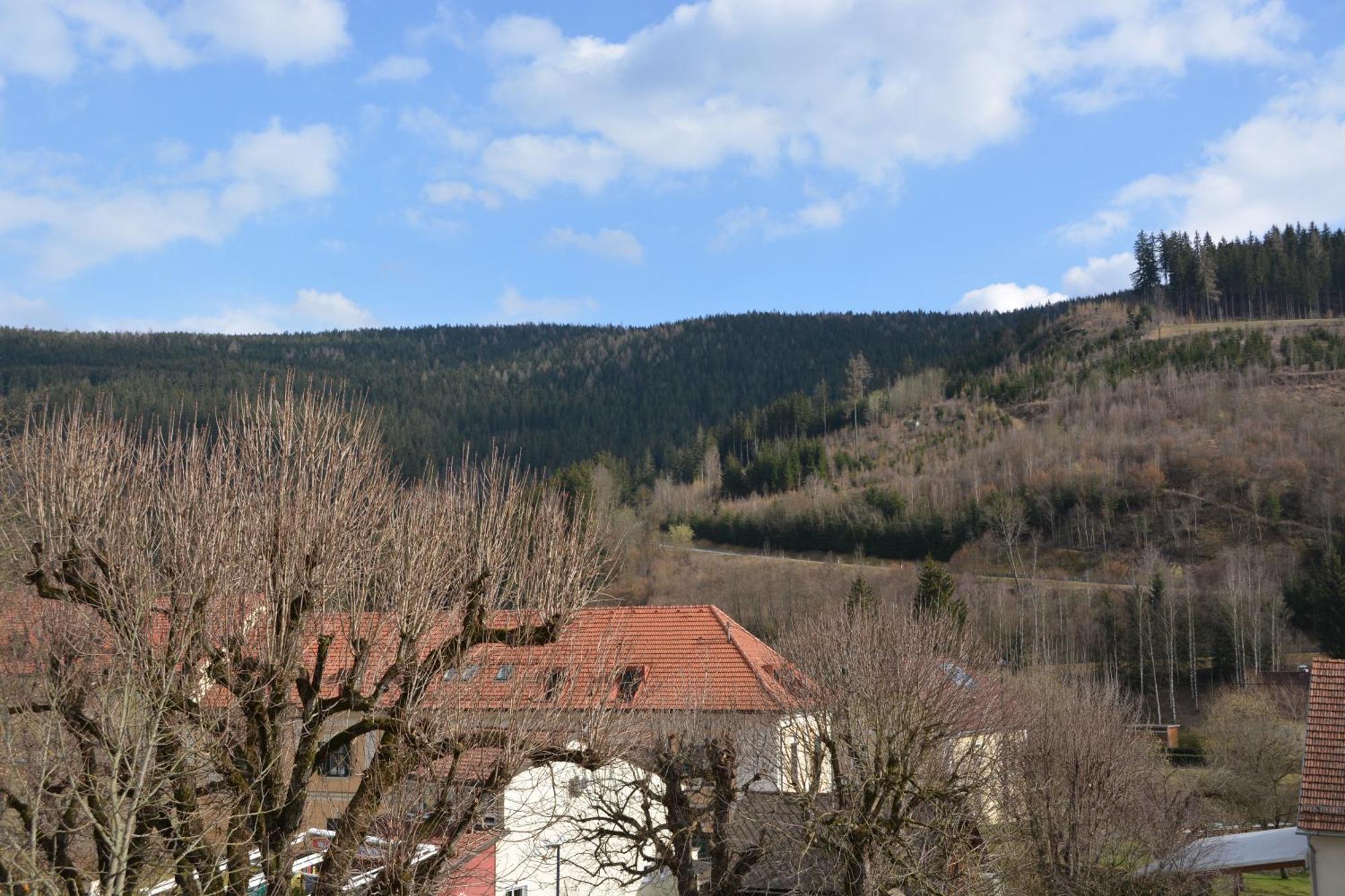Kronenwirt Gurk Extérieur photo