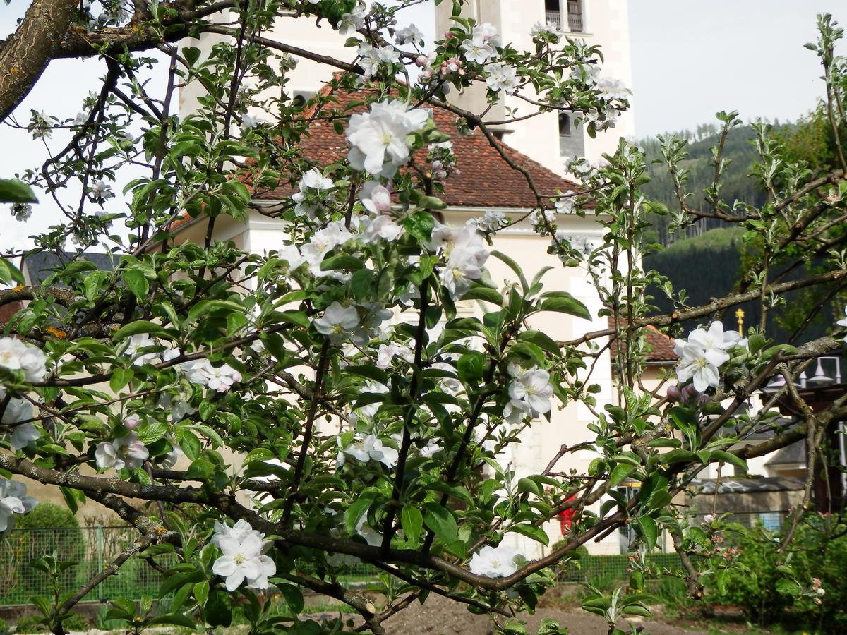 Kronenwirt Gurk Extérieur photo